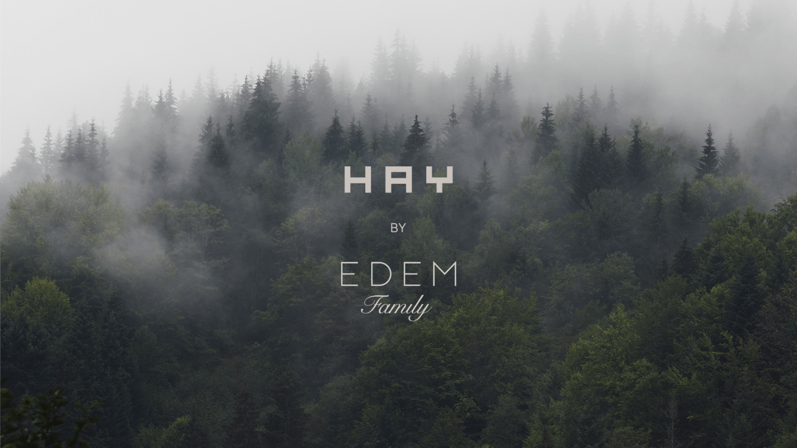 HAY